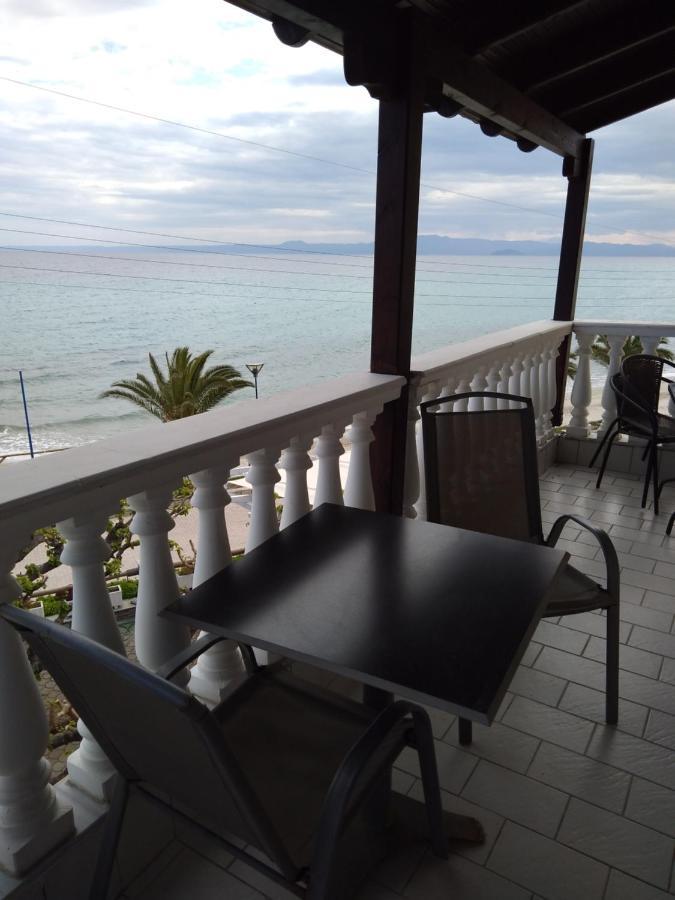 Polychrono Beach Hotel Εξωτερικό φωτογραφία
